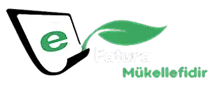 E-Fatura Mükellefi temizlik şirketi