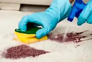Kına, Hint Kınası Ve Saç Boyası Lekesi Halıdan Nasıl Çıkar?