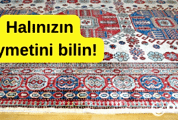 anitka hali nasil yikanir